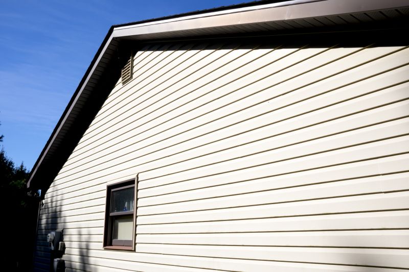 Colorful Vinyl Siding Options